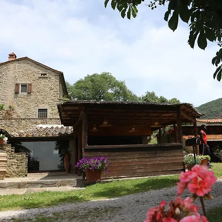 Agriturismo Tecognano Casa vacanze Cortona