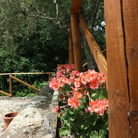 Casa vacanze Agriturismo Tecognano *