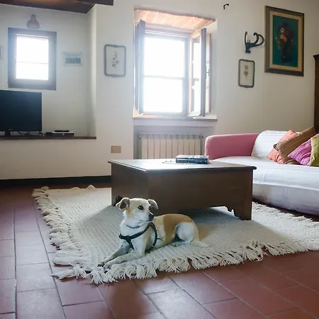 Casa vacanze Agriturismo Tecognano Cortona
